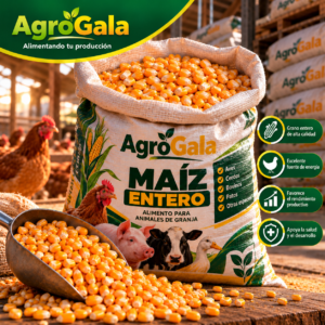 Maíz Entero AgroGala – Grano para Alimentación Animal