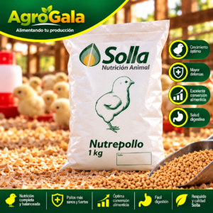 Solla Nutrepollo 1 kg – Alimento para Pollos