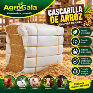 Cascarilla de Arroz – Cama para Pollos y Animales de Granja